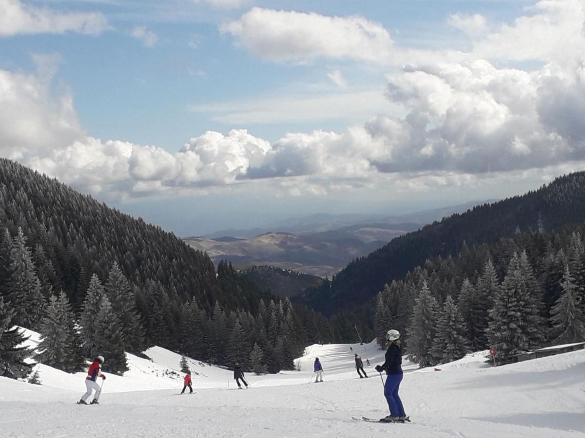 Milmari S30 Apartman Kopaonik Kültér fotó